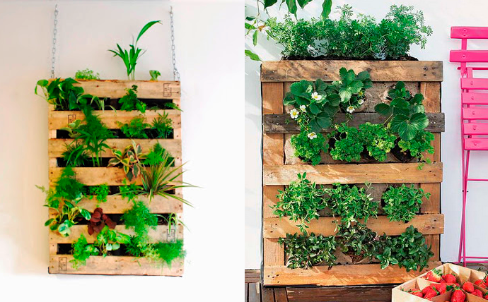 Cómo crear un jardín vertical en la terraza con ideas DIY - Foto 1