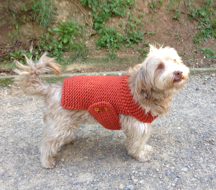 DIY: tejer un jersey para perro en telar