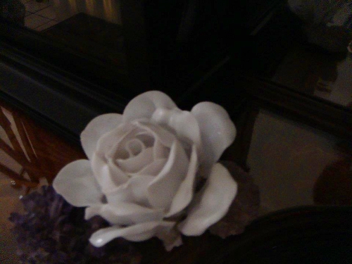 rosa_cucharas_plastico_mayadevid