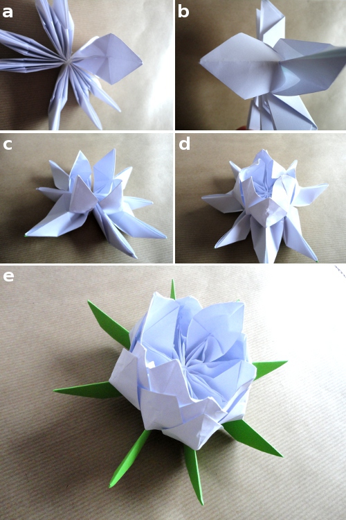 Crea una flor de loto de papel - Tutéate